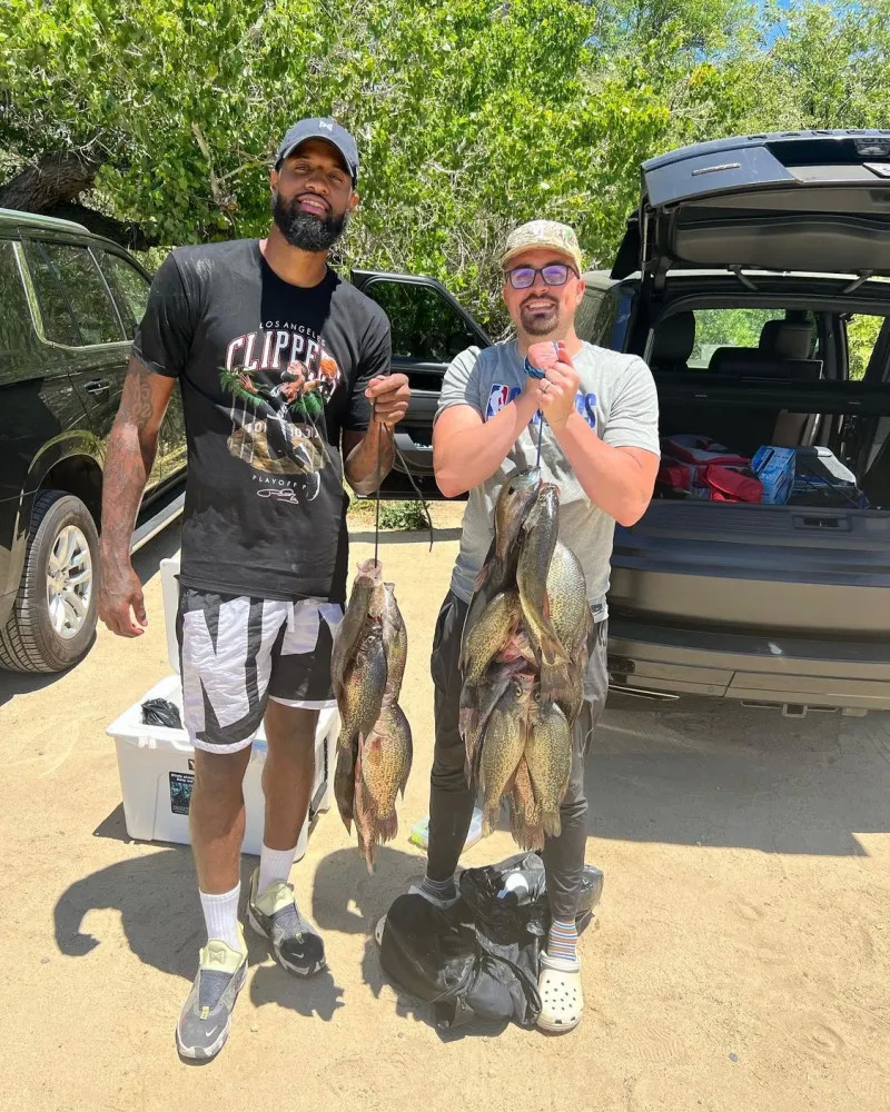 在这篇文章 在这篇文章