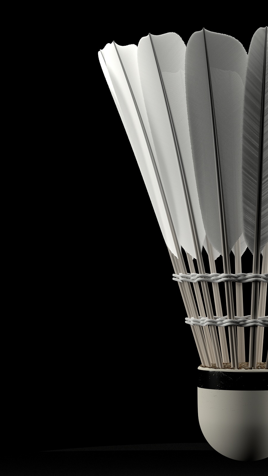 杜锋在执教 杜锋在执教