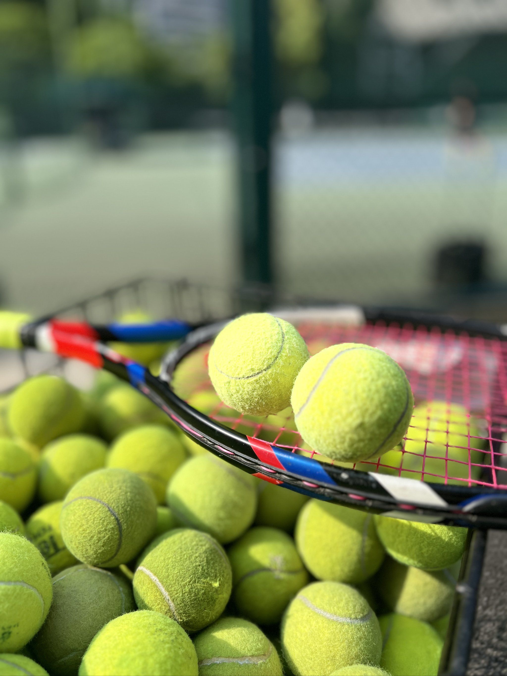 萨的一场关 萨的一场关